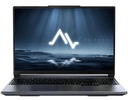 MAIBENBEN X-Treme Typhoon X16C (X16C-i544560F44LG4E10) Intel Core i5 14450HX 2400MHz/16
