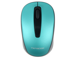 Гарнизон GMW-450-3 (Cyan)