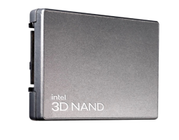 Intel D7-P5510 7.68Tb (SSDPF2KX076TZ01)