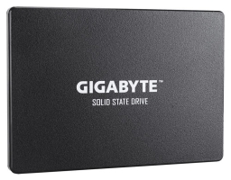 GIGABYTE SSD 256GB (GP-GSTFS31256GTND)