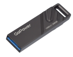 GoPower TITAN 256Gb (00-00027356) Black