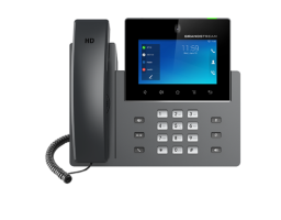 Grandstream GXV-3450