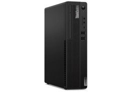 Lenovo ThinkCentre M70s Gen 4 SFF Intel Core i5 13400 2500 МГц/16384 Mb/512 Gb SSD/DVD-RW/Intel UHD Graphics 730/Windows 11 Pro (12DT0009RU) Черный