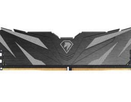 Netac Shadow II Black 16Gb DDR5 6000MHz (NTSWD5P60SP-16K)