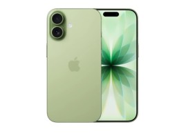Apple iPhone 17 256Gb (MG6N4HN/A) Sage