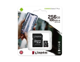 Kingston SDCS2/256GB (SDCS2/256GB)