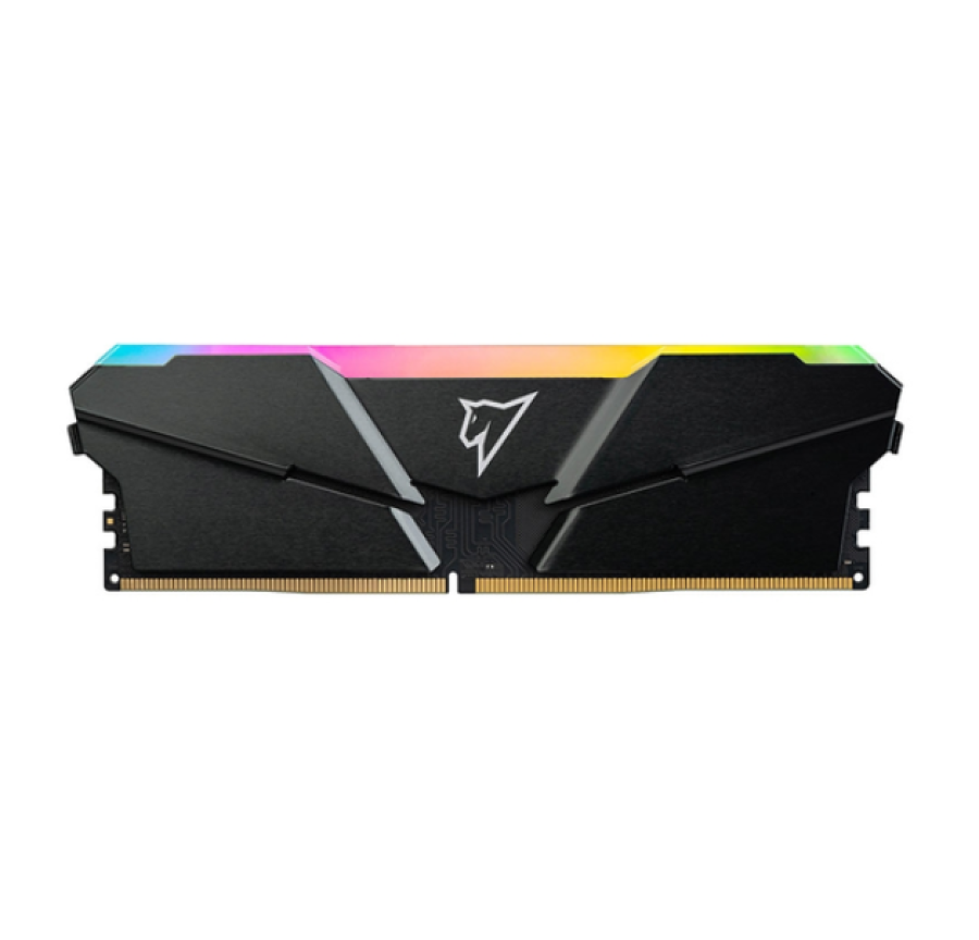 Netac 8 ГБ DDR4 2666 МГц UDIMM CL19 (NTSRD4P26SP-08E)
