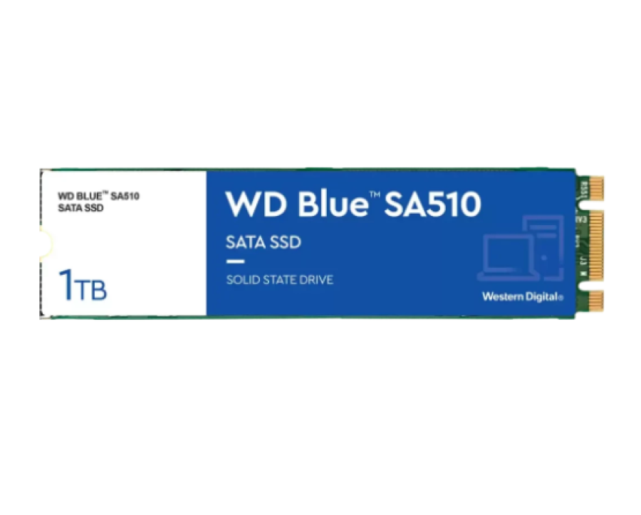 Western Digital Blue SA510 SSD 1Tb (WDS100T3B0B)
