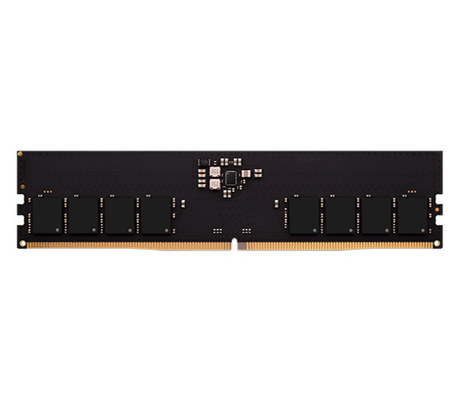 AMD Radeon 16GB DDR5 5200 DIMM (R5516G5200U1S-U)