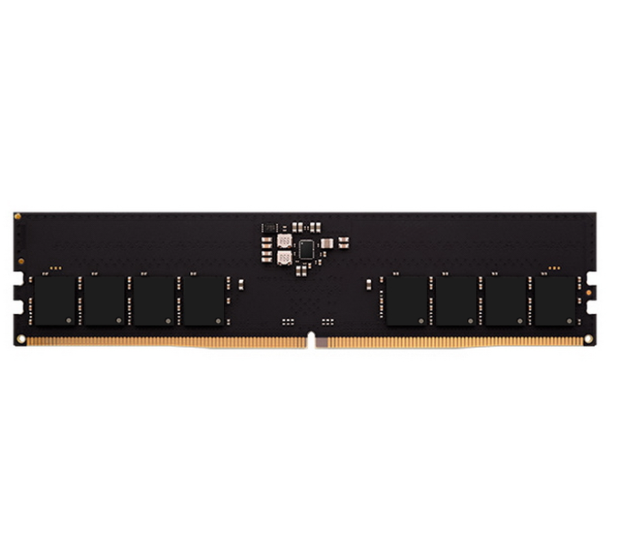 AMD Radeon Entertainment Series 8GB DDR5 4800 DIMM (R558G4800U1S-U)