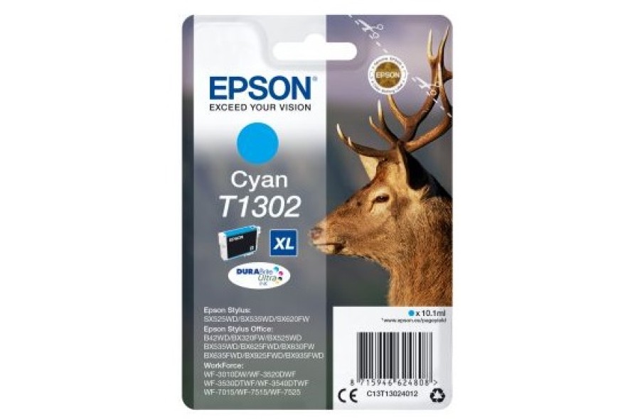 Epson C13T13024012