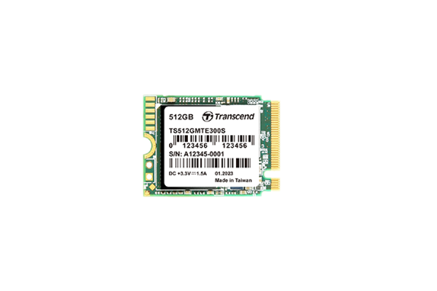 Transcend 256GB MTE300S (TS256GMTE300S)