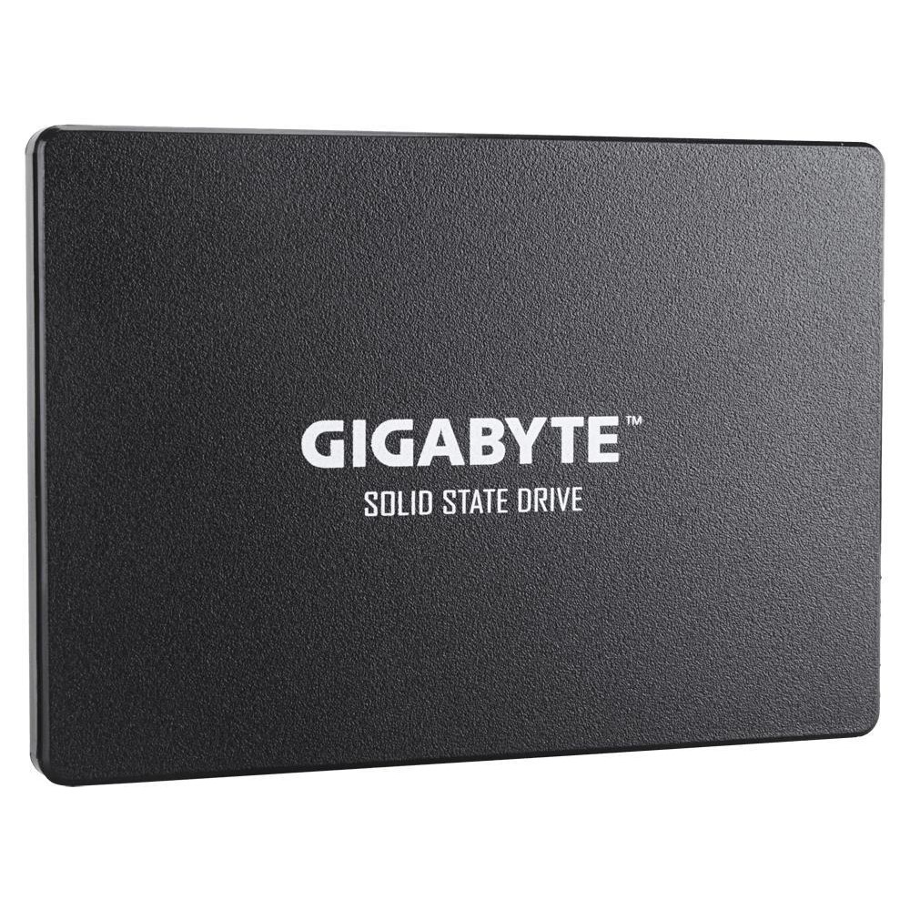 GIGABYTE SSD 256GB (GP-GSTFS31256GTND)