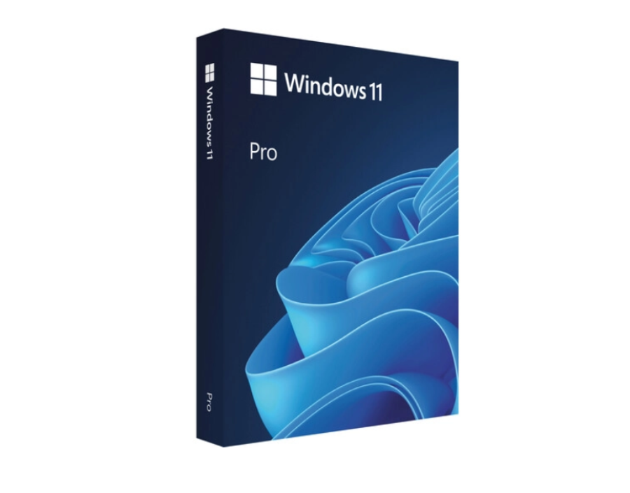 Операционная система Microsoft Windows 11 Pro 64-bit English Intl USB (HAV-00162)
