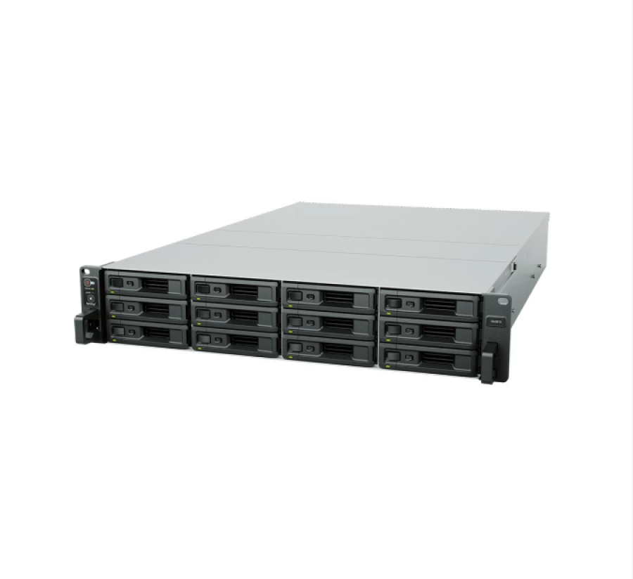 Synology SA3410
