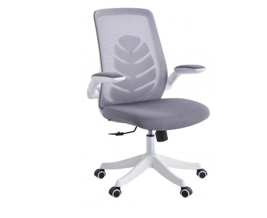 Chairman CH565 (7146049) Grey