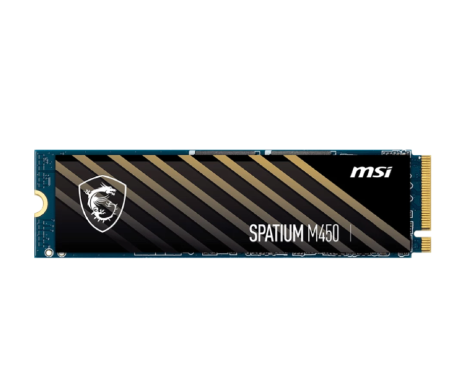 MSI SPATIUM M450 1Tb (S78-440L980-P83)