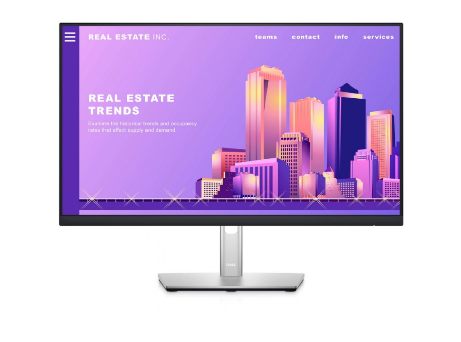 Dell 24" P2422H (210-AZYX)