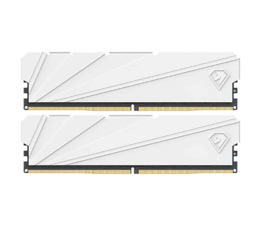Netac Shadow S White 16Gb DDR4 3200MHz (2x8Gb KIT) (NTSSD4P32DP-16W)
