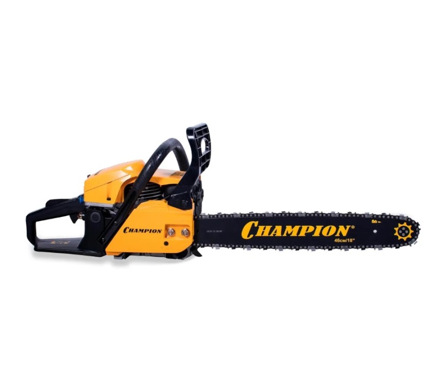 Champion А251-18
