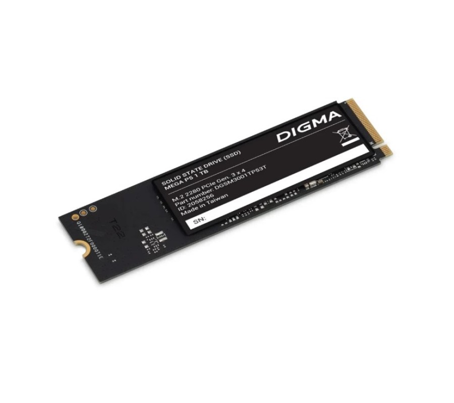 Digma Mega P5 1Tb (DGSM3001TP53T)