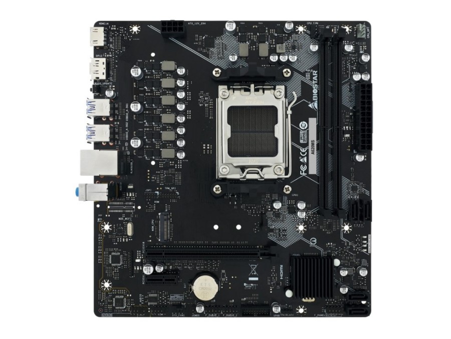 Biostar A620MS