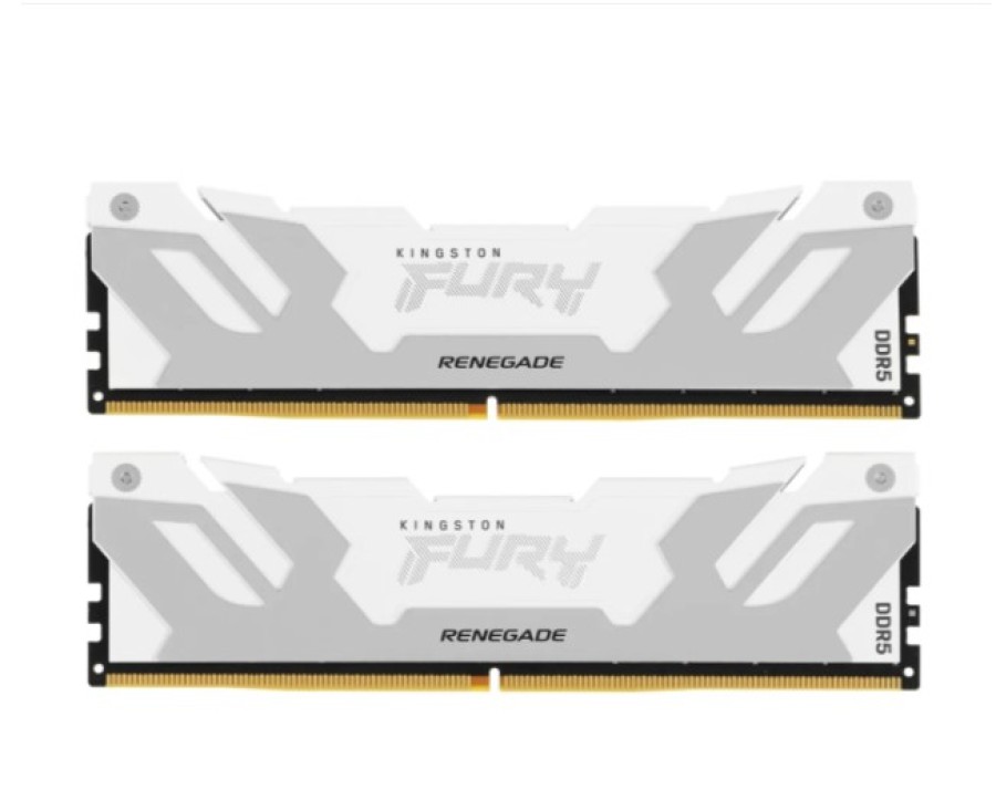 Kingston Fury Renegade White 64Gb DDR5 6400MHz (2x32Gb KIT) (KF564C32RWK2-64)