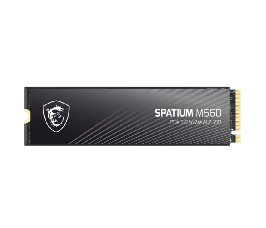 MSI SPATIUM M560 2Tb (S78-440Q940-P83)