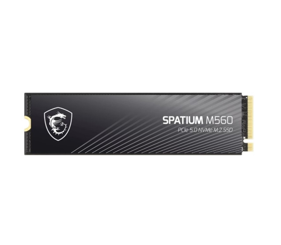 MSI SPATIUM M560 1Tb (S78-440L0F0-P83)