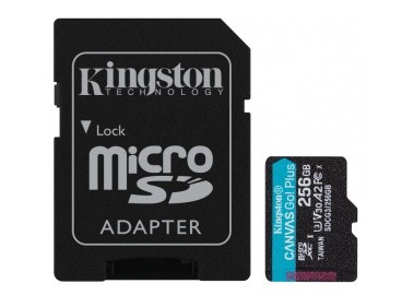 256Gb MicroSD Kingston Class 10 + SD адаптер (SDCG3/256GB)