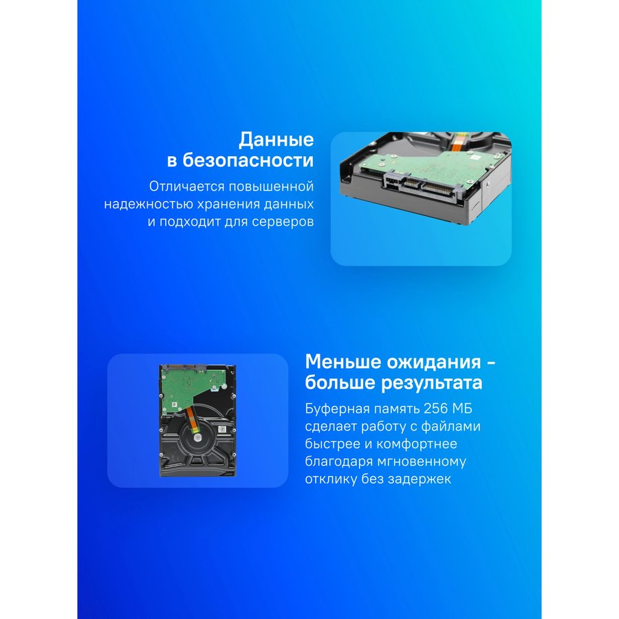 Seagate Exos 7E10 8Tb (ST8000NM017B)