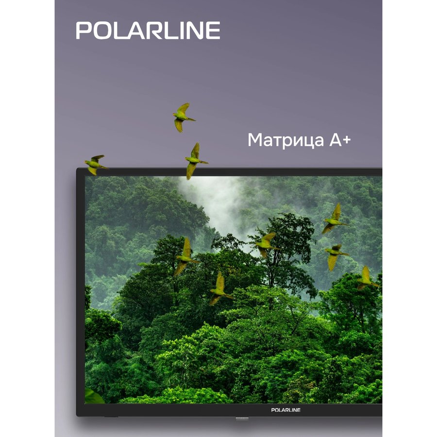 Polar 24" 24PL12TC