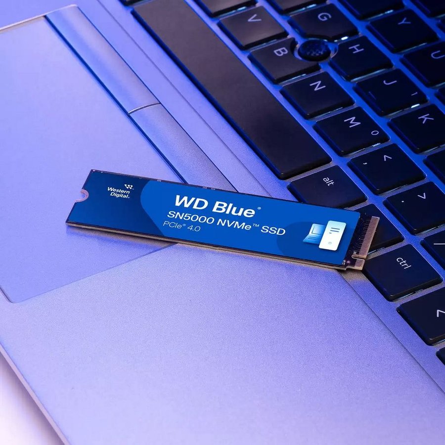 WD Blue SN5000 1Tb (WDS100T4B0E)