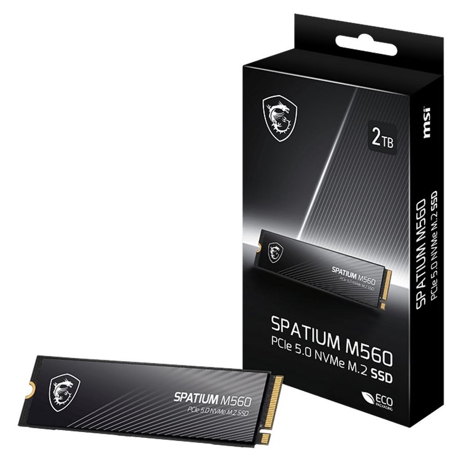 MSI SPATIUM M560 2Tb (S78-440Q940-P83)