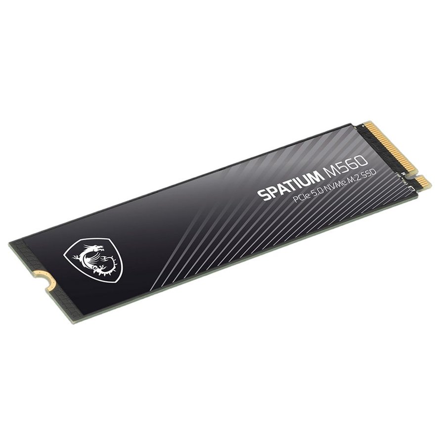 MSI SPATIUM M560 2Tb (S78-440Q940-P83)