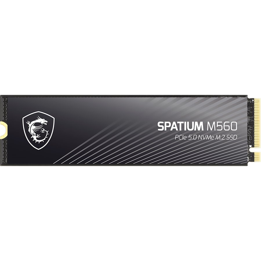 MSI SPATIUM M560 2Tb (S78-440Q940-P83)