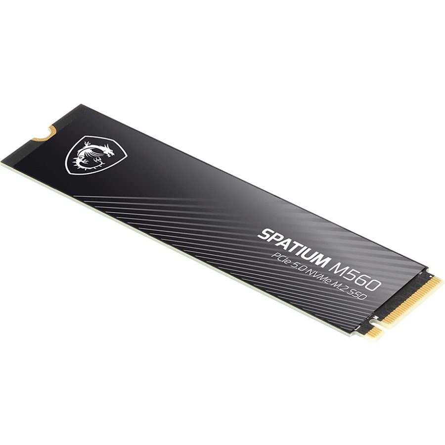 MSI SPATIUM M560 2Tb (S78-440Q940-P83)