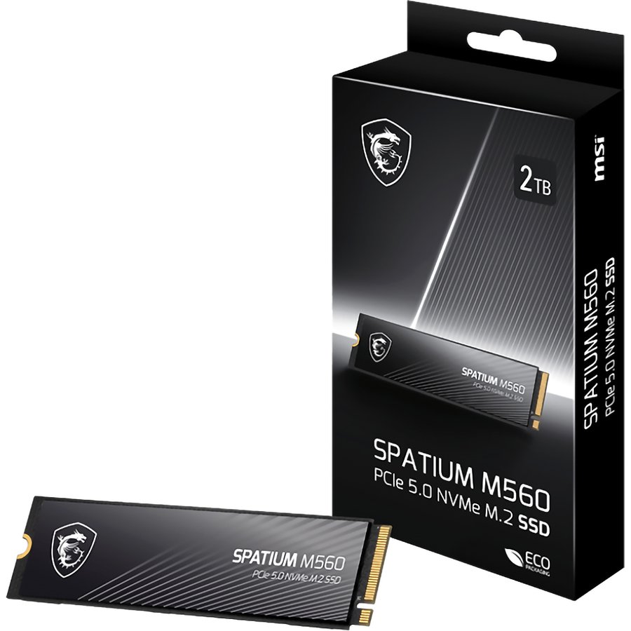 MSI SPATIUM M560 2Tb (S78-440Q940-P83)