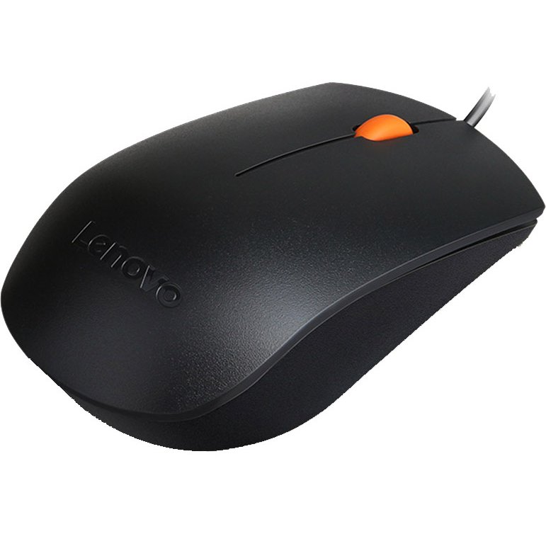 Lenovo 300 Black (GX30M39704)