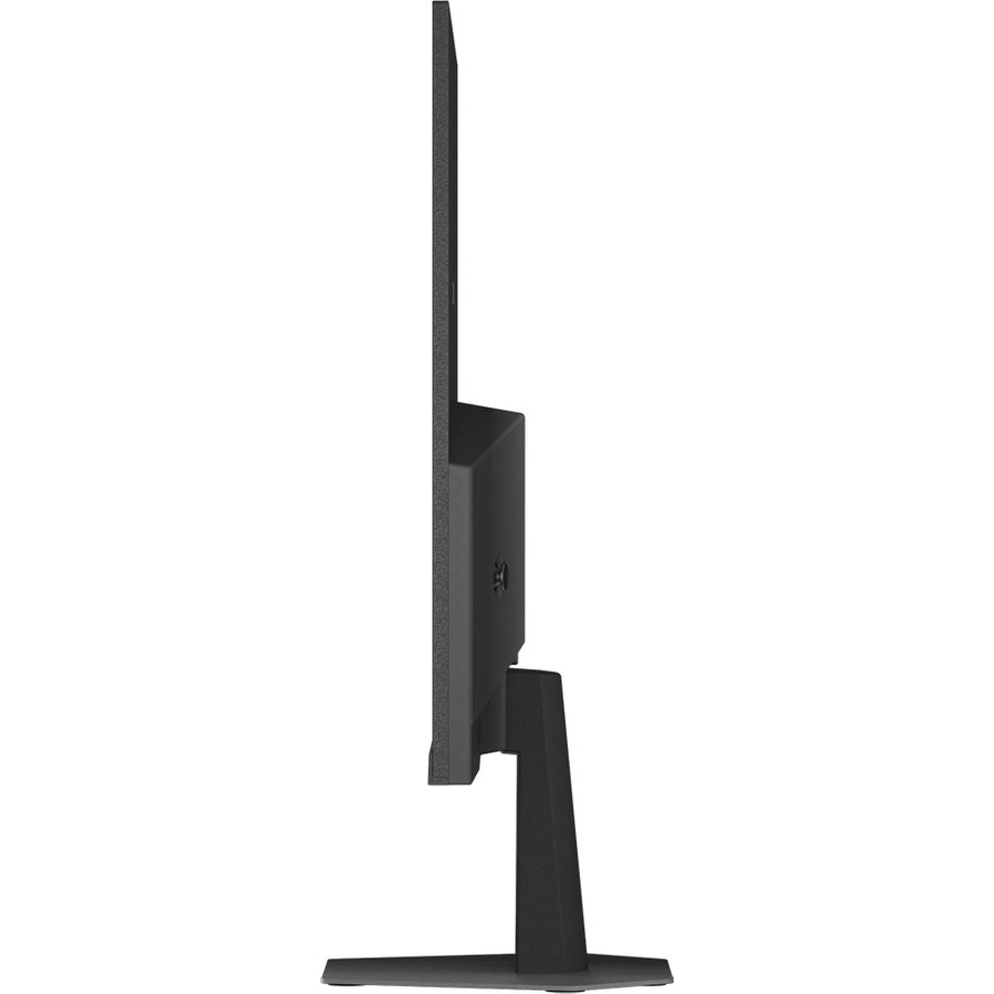 Gigabyte 24" GS24F14 (20VM0-GS24F14BC-1EUR)