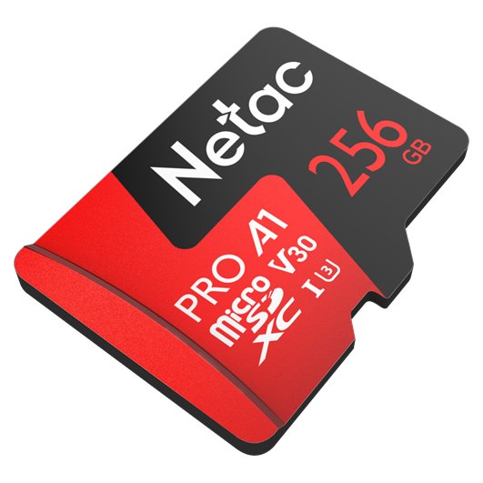 Netac NT02P500PRO-256G-R