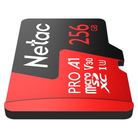 Netac NT02P500PRO-256G-R