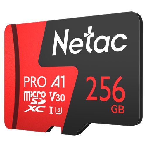 Netac NT02P500PRO-256G-R