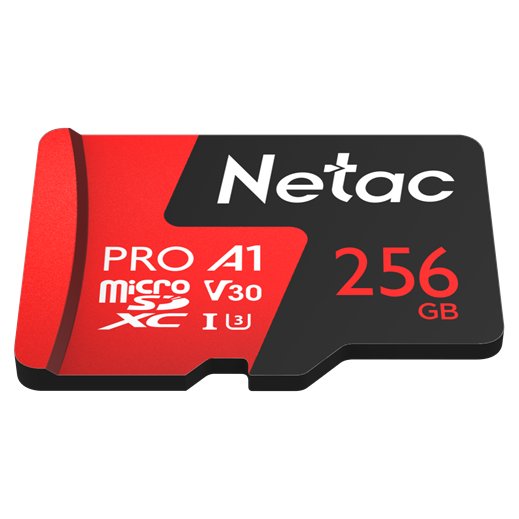 Netac NT02P500PRO-256G-R