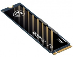 MSI 1TB NVMe M.2 SPATIUM M450 (S78-440L0M0-P83)