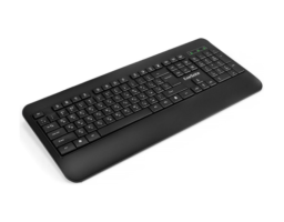 ExeGate LY-E5500M Black (EX296922RUS)