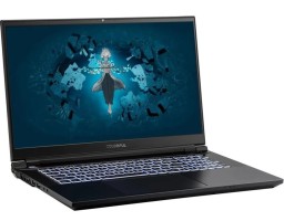 Colorful EVOL X17 Pro Max Intel Core i7 13700HX 2100MHz/17.3"/2560x1440/32GB/1024GB SSD/NVIDIA GeForce RTX 4080 12GB/Wi-Fi/Bluetooth/Windows 11 Home (A10205400061) Black
