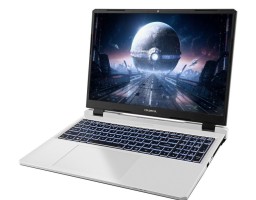 Colorful EVOL P16 TA 24 Intel Core i7 13650HX 2600MHz/16"/2560x1600/16GB/512GB SSD/NVIDIA GeForce RTX 4060 8GB/Wi-Fi/Bluetooth/Windows 11 Home (A10205400050) White