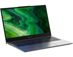 Digma Pro Fortis M Intel Core i3 1215U 1200MHz/15.6"/1920х1080/16GB/256GB SSD/Intel UHD Graphics/Wi-Fi/Bluetooth/Windows 11 Pro (DN15P3-ACXW01) Grey