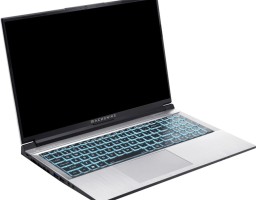 Machenike L15 Pulsar Intel Core i5 12450H 2000MHz/15.6"/2560x1440/16GB/1024GB SSD/NVIDIA GeForce RTX 4050 6GB/Wi-Fi/Bluetooth/Без ОС (JJ00GE00GRU) Silver